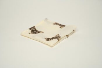 MINI muslin cloths